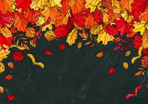 Black Board. Autumn Background Layout Frame with Falling Leaves. Maple Rowan, Ilustração Stock