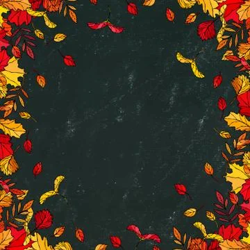 Black Board. Autumn Background Layout Frame with Falling Leaves. Maple Rowan, Ilustração Stock