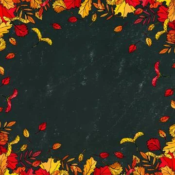 Black Board. Autumn Background Layout Frame with Falling Leaves. Maple Rowan, Ilustração Stock