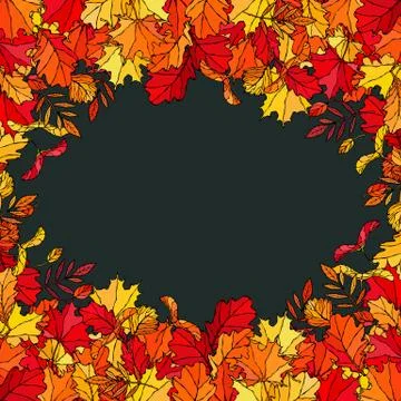 Black Board. Autumn Background Layout Frame with Falling Leaves. Maple Rowan, Ilustração Stock