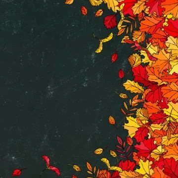 Black Board. Autumn Background Layout Frame with Falling Leaves. Maple Rowan, Ilustração Stock