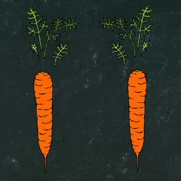 Black Board Background. Fresh Orange Carrots with Leaves. Ripe Vegetables. Ca Stock Illustration