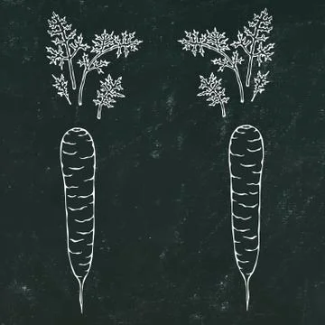 Black Board Background. Fresh Orange Carrots with Leaves. Ripe Vegetables. Ca Stock Illustration