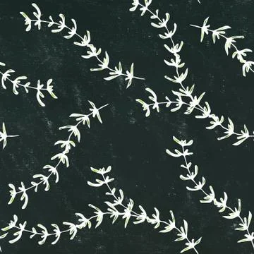 Black Board Background. Seamless Endless Pattern of Thyme Branch. Background  Illustrazione stock
