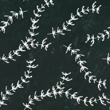 Black Board Background. Seamless Endless Pattern of Thyme Branch. Background  Illustrazione stock
