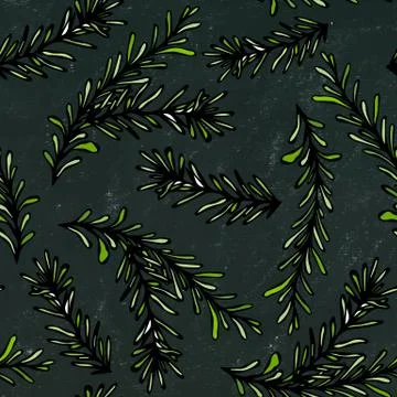 Black Board Background. Seamless Endless Pattern of Rosemary Branch. Aromatic Stock Illustration