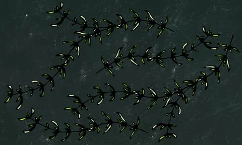 Black Board Background. Set of Thyme Branch. Background with Aromatic Healing Stock Illustration