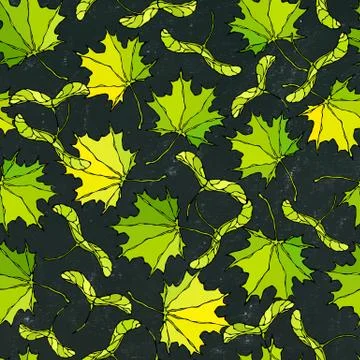 Black Board. Seamless Endless Pattern of Green Maple Leaves and Seeds. Autumn イラスト素材