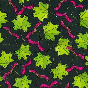 Black Board. Seamless Endless Pattern of Green Maple Leaves and Seeds. Autumn イラスト素材