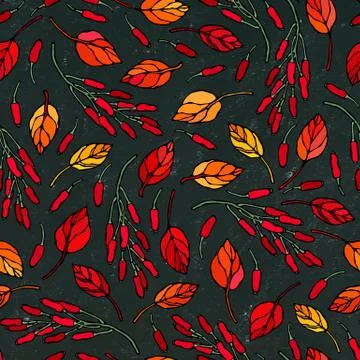 Black Board. Seamless Endless Pattern of Barberry Leaves and Berries. Red, Or 스톡 일러스트