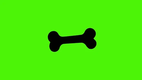 A black bone isolated on a green screen Stock Footage 285079512
