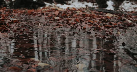 Black boots step on mud and leaves in autumn forest.  Concept of pathfinder Video stock 148860724