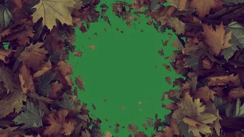 Black border falling leaves on it an image of surrounded by lots brown square Stock Footage 336893867