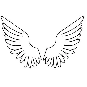 Black border of the wings on white background Stock Illustration