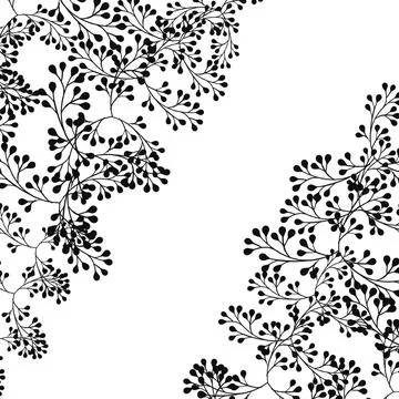 Black Botanical Branch Border on White Background Stock Illustration