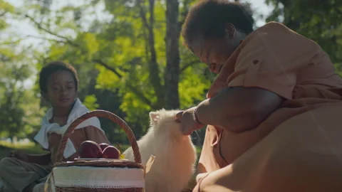 Black Boy Having Picnic in Park with Grandma Feeding Dog with Treats Stock Footage 282184029