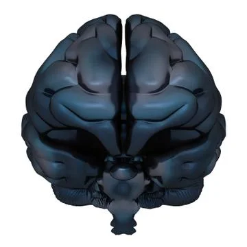 Black brain isolated on white 3d rendering Stock-Illustration