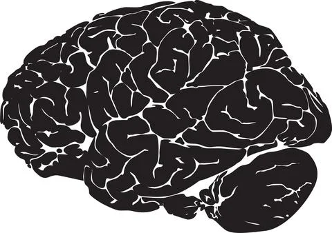 Black Brain Silhouette - Human Mind Concept Illustration