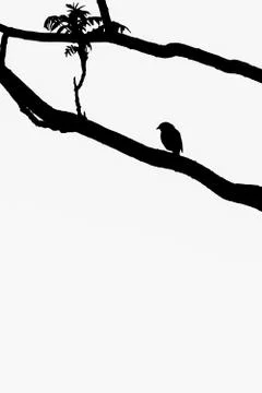 Black branches twisting with bird sitting on perch against white Stock Illustration