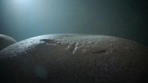 Black bread space laowa macro camera Stock Footage 197703794