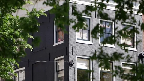 A black brick building with windows blends modern architecture and nature Stock Footage 309882282