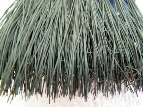 Black bristles Stock Photos