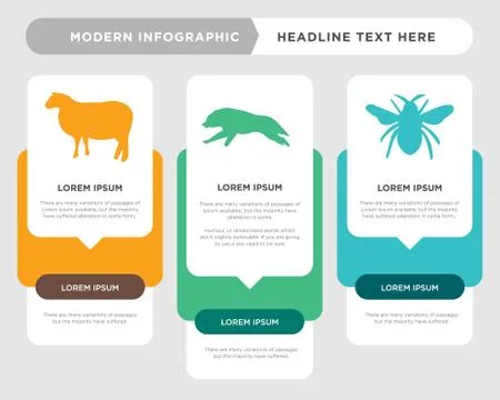 Black bumble bee, black wolf running, black sheep infographic Stock Illustration