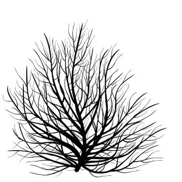 Black bush. Abstract pattern on white backdrop. Stock Illustration