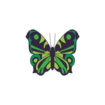 Black butterfly with green pattern on wings a isolated vector illustration Stock Illustration