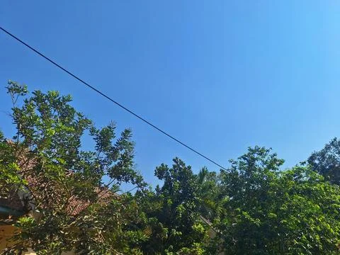 A black cable stretching between trees with a bright blue sky in the background Stock Photos