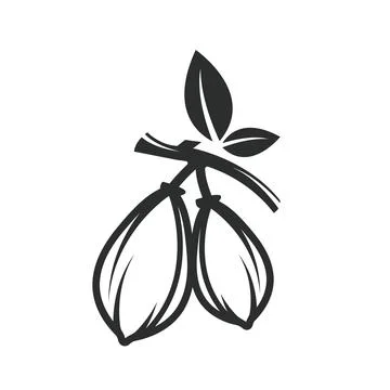 Black cacao icon vector element design illustration web Stock Illustration