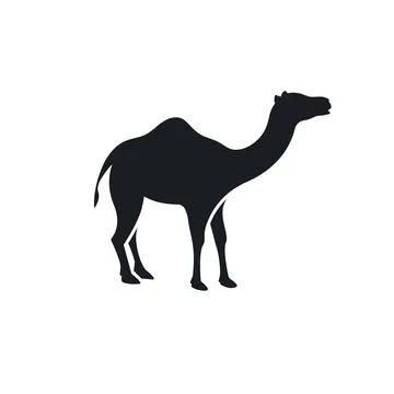 Black camel element  icon vector illustration design template Stock Illustration