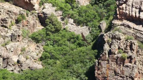 Black Canyon Hawk Stock Footage 18071399