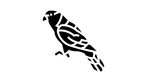 Black capped lory parrot bird glyph icon animation Stock Footage 326154120