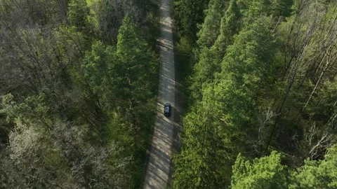 Black Car Drives Through Forest Stock Footage 266509407