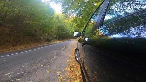 Black car driving on empty road colorful trees on autumn Stock Footage 115133406