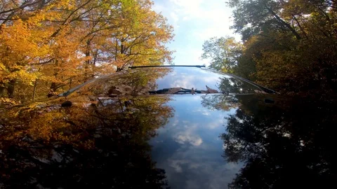 Black car driving on empty road colorful trees on autumn Stock Footage 115133449