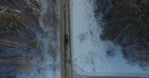 Black car goes between the trees at winter forest Stock Footage 172047423