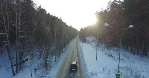 Black car goes between the trees at winter forest Stock Footage 172047435