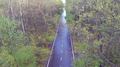 Black car moving on road in forest in Elk Island neighborhood Stock Footage 33296617