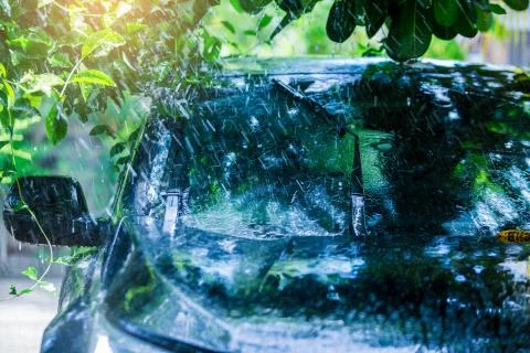 Black car under the tree with rain drop water. Stock Photos