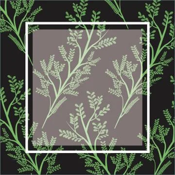Black card background with decorative ramifications plants pattern and square Stock Illustration