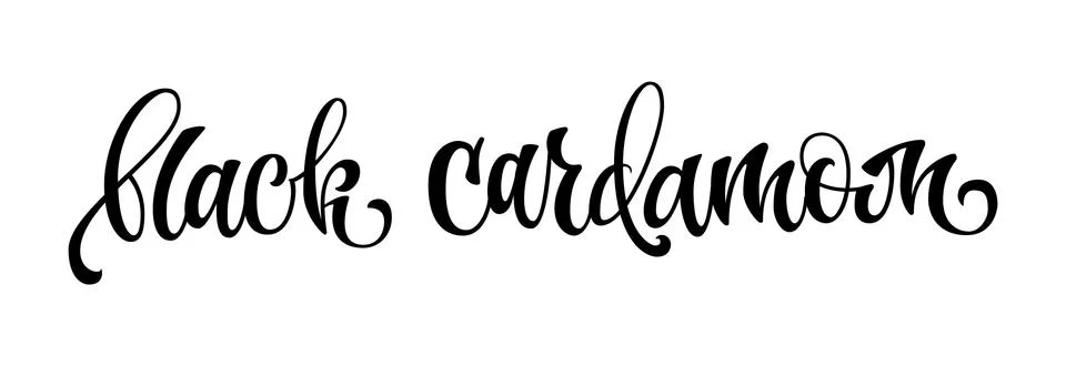 Black cardamom - hand drawn spice label. Stock Illustration