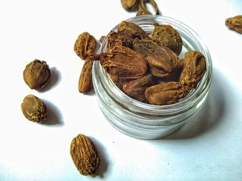 Black Cardamom Stock Photos