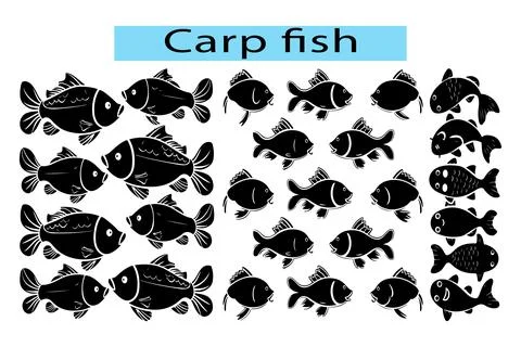 Black Carp fish vector art illustration in white background Stock-Illustration