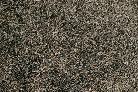 Black carpet texture Stock Photos