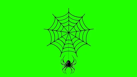 Black cartoon spider hanging on a web thread on a green screen. Black web 動画素材 313225376