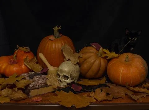 Black cat and pumpkins Stock Photos