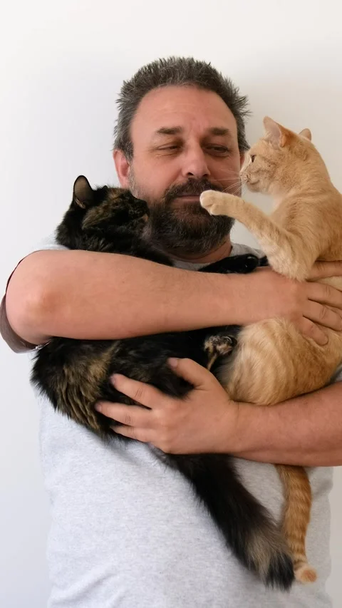 A black cat and a red cat fight in the arms of a bearded man indoors. Stock Footage 291982664