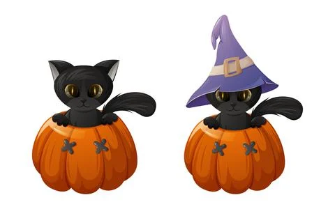 Black cat with and without sorcery hat is in a pumpkin. Vector illustration Stock Illustration